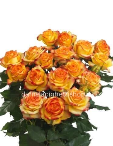 Rose arancio misura media 60 cm