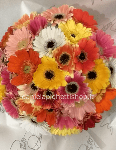 Bouquet di gerbere