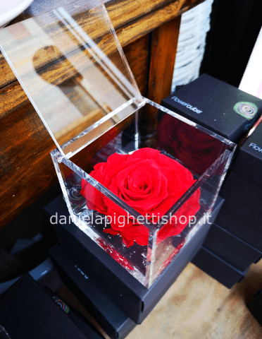 FLOWER CUBE 6X6