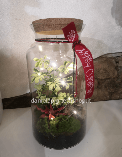 terrario in vaso di vetro con tappo di sughero alto cm.38 con led