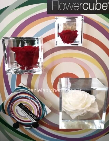 rosa stabilizzata profumata FLOWERCUBE 6X6 